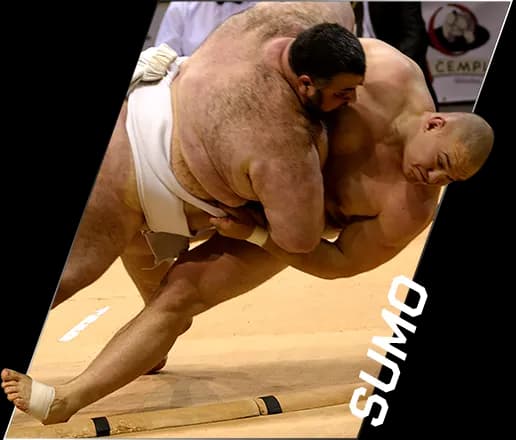 Sumo